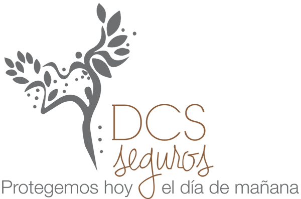 DCS Seguros